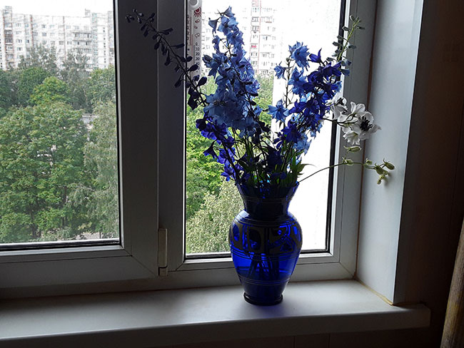 Оконный термометр, цветы в вазе на подоконнике 